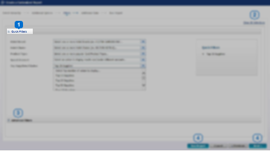 report customized quick filters