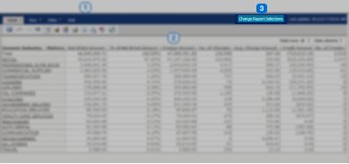report viewer change report