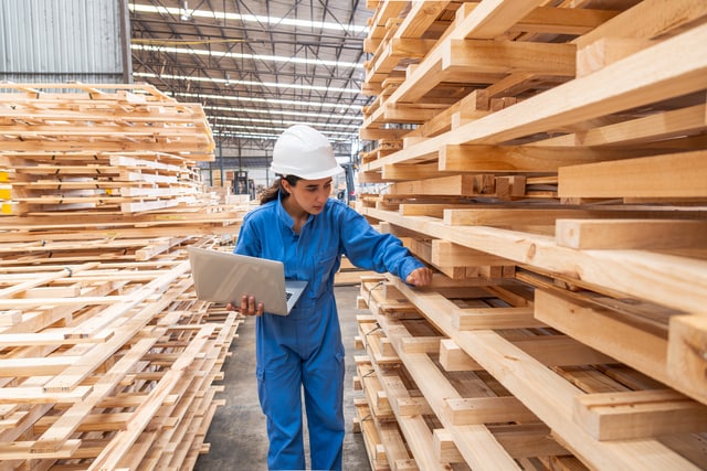 digital entertainment