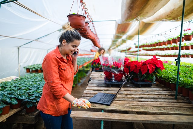 digital entertainment