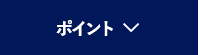 ポイント