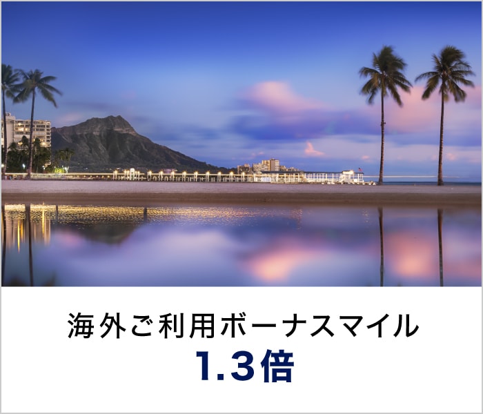 デルタ航空カードご利用マイル