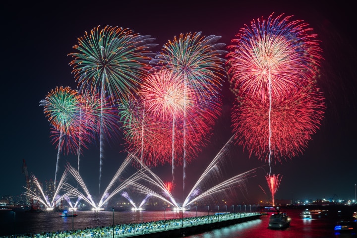  夜空に広がる花火を鑑賞