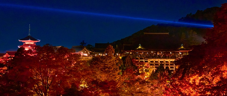 世界遺産 清水寺 2025　秋の貸切ナイトビューイング　Only for Amex