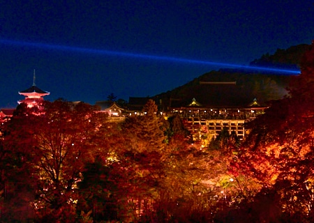 清水寺 2025 秋の貸切ナイトビューイング