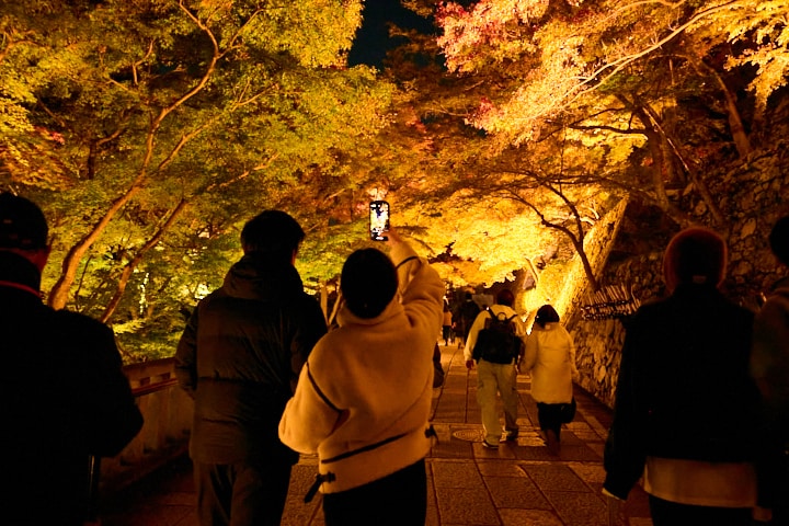 音羽の滝を後に見上げれば、石垣と懸造り（かけづくり）が紡ぐ美しい景色。