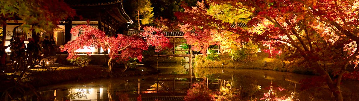 紅葉の高台寺 2025 プレミアムビューイング Only for Amex	