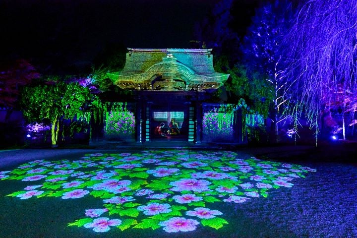 毎年人気のプロジェクションマッピング 永遠の絆を描く、絢爛豪華な光の絵巻