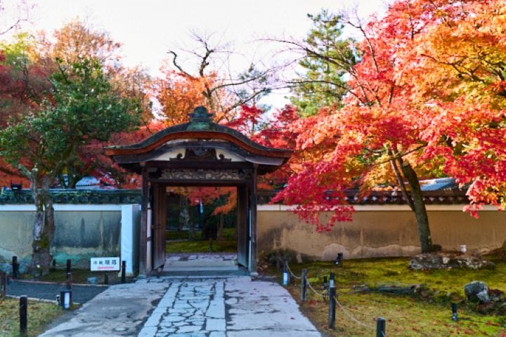 境内に足を踏み入れた瞬間、紅葉と澄んだ静けさに包まれる心地よさ