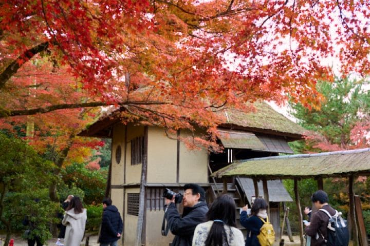 ねねさんが茶の湯をたしなんだという時雨亭  紅葉に包まれた境内を貸切で巡る贅なとき