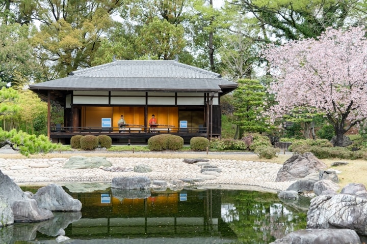 清流園の雅な山桜に風情を添える香雲亭の琴の調べ（通常非公開）
