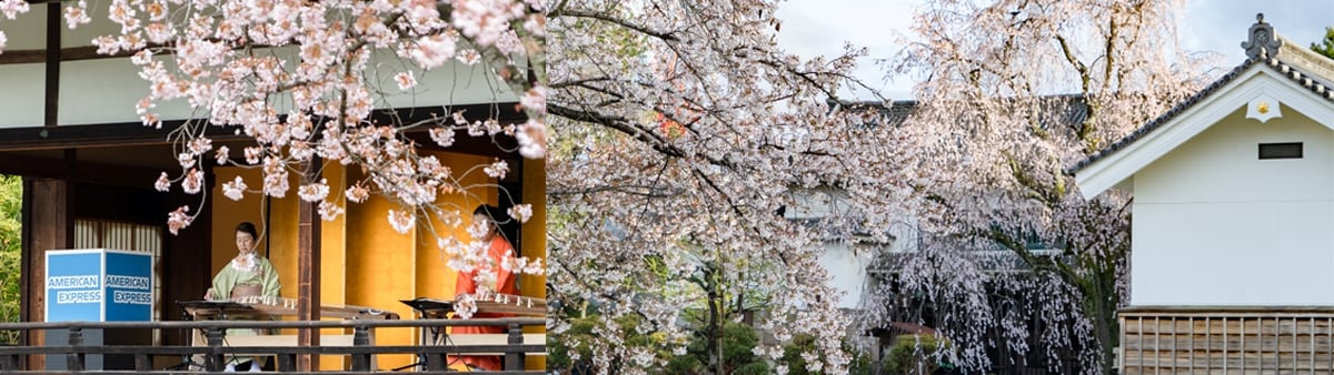 アメックスイベント知新の扉™ 世界遺産 二条城 2026 早朝貸切 桜めぐり Only for Amex 
