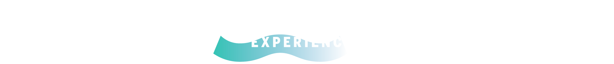 Amex Experiences