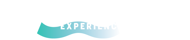 Amex Experiences
