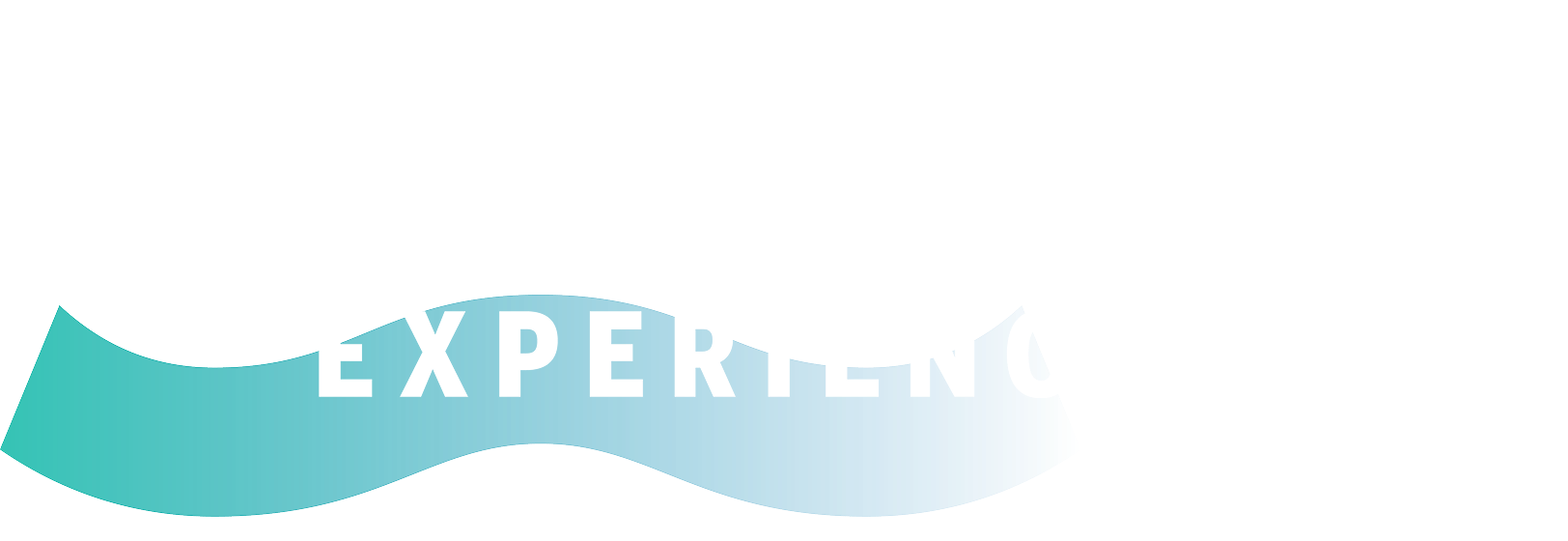 AMEX EXPERIENCES