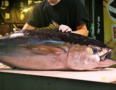 11月が旬の食べ物は？魚介、野菜、果物など秋の味覚を5つ厳選