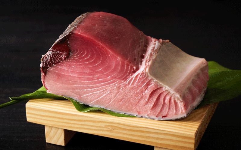 11月に旬を迎える魚介