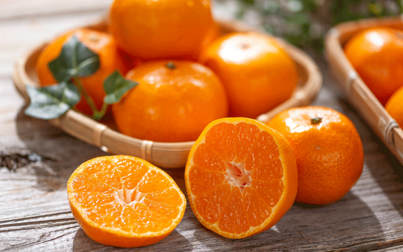 11月に旬を迎える果物