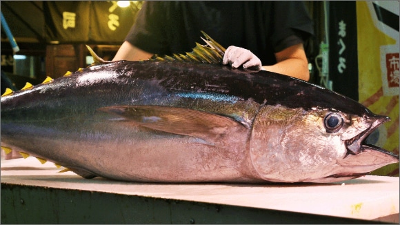 11月が旬の食べ物は？魚介、野菜、果物など秋の味覚を5つ厳選