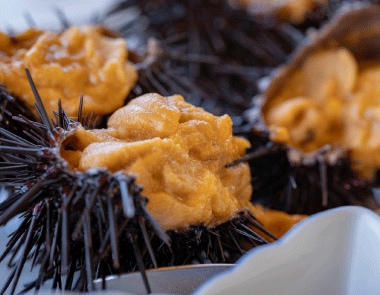 専門家に聞いた、眠気覚ましに効果的な飲み物5選