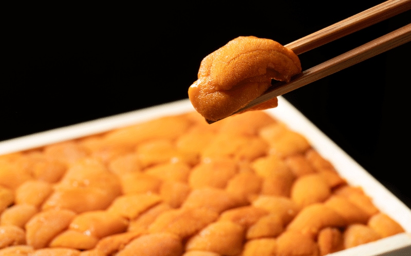 ミョウバンとウニの関係とは？