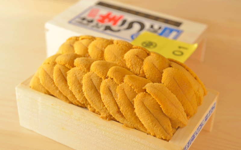 【鮨 竜介】日ごと「日本一のウニ」を仕入れる銀座の名店