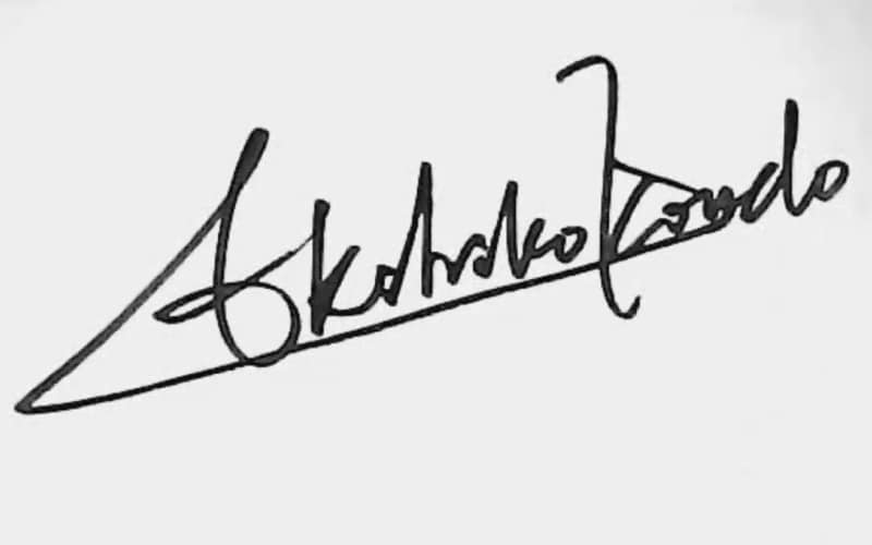 3）正しい書き順にこだわらない