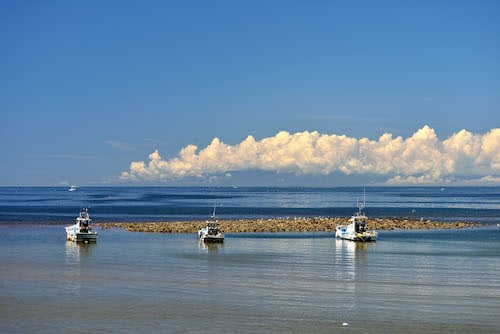 日本最古の築港遺跡・和賀江島で遺跡と海を楽しむ