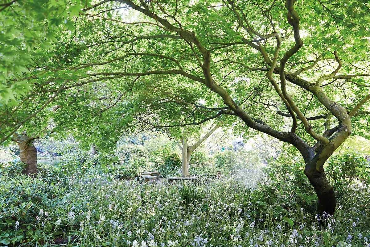 ベルモンド カドガン ホテル　ガーデン