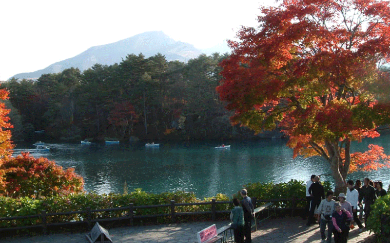 個性豊かな湖沼を巡る、五色沼自然探勝路