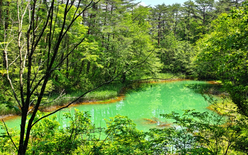 赤沼、みどろ沼