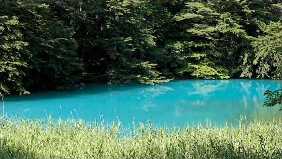 【写真付き】福島県「五色沼」の見どころやアクセス方法、周辺スポットを紹介