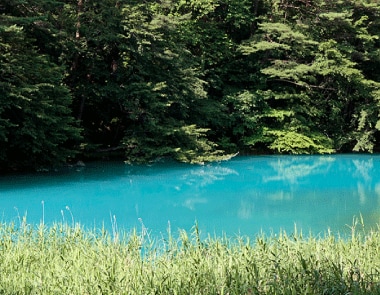 【写真付き】福島県「五色沼」の見どころやアクセス方法、周辺スポットを紹介