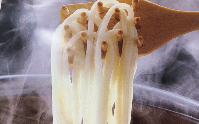 五島グルメの代表格！アツアツで食べる絶品の「地獄炊きうどん」で腹ごしらえ