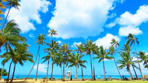 【2025年版】ハワイ旅行の費用はいくら？ハワイの物価や現地で必要な費用も解説