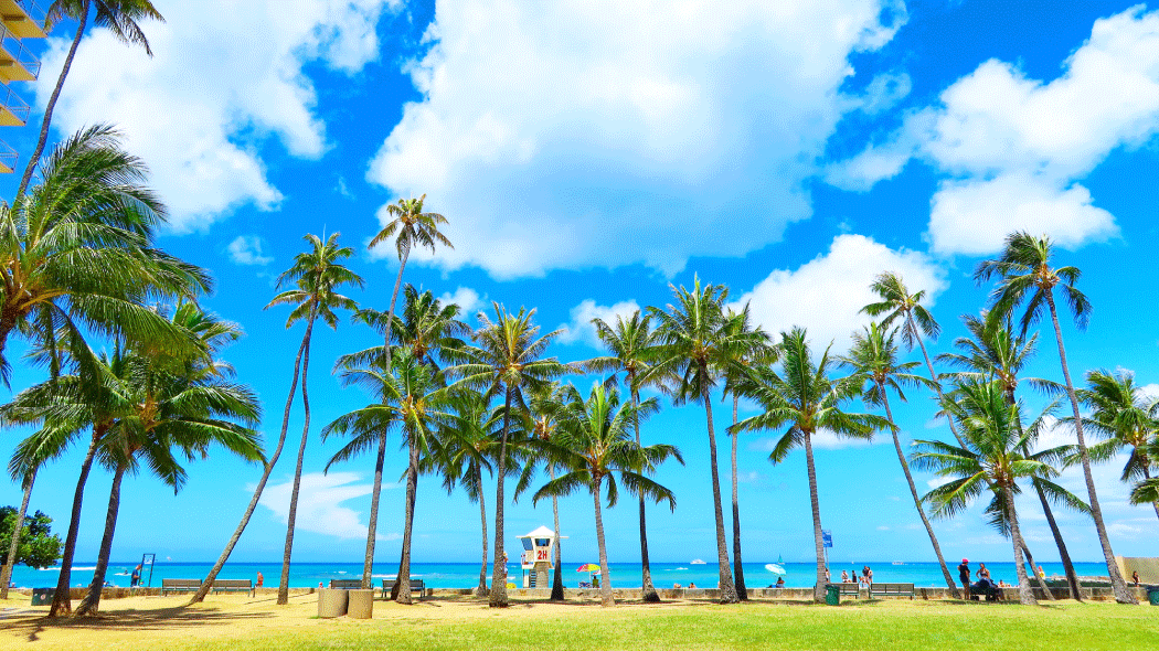 【2025年版】ハワイ旅行の費用はいくら？ハワイの物価や現地で必要な費用も解説