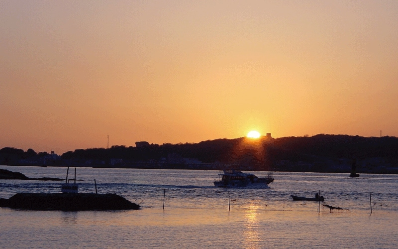 イルカの触れ合い体験も楽しめるサンセットビーチを満喫したら一路帰路へ