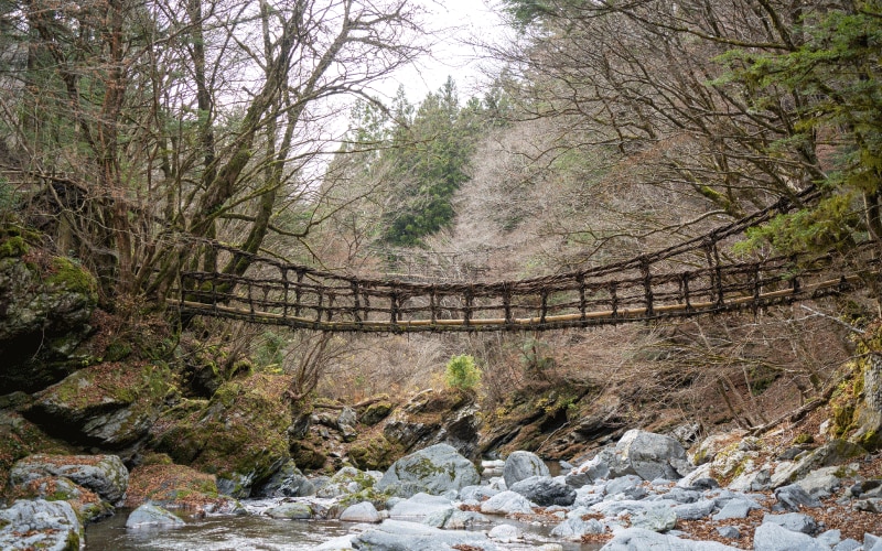 祖谷のかずら橋と一緒に楽しみたいスポット＆グルメ