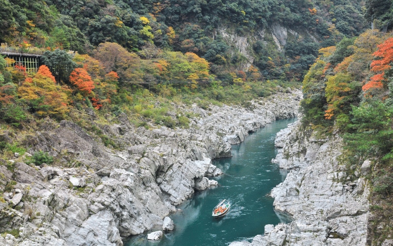 大歩危峡観光遊覧船