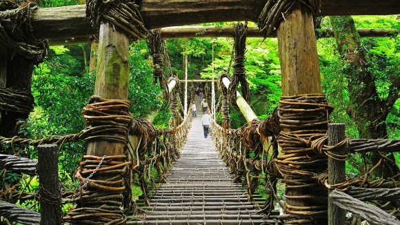 「祖谷（いや）のかずら橋」の魅力とは？入場料やベストシーズンも解説