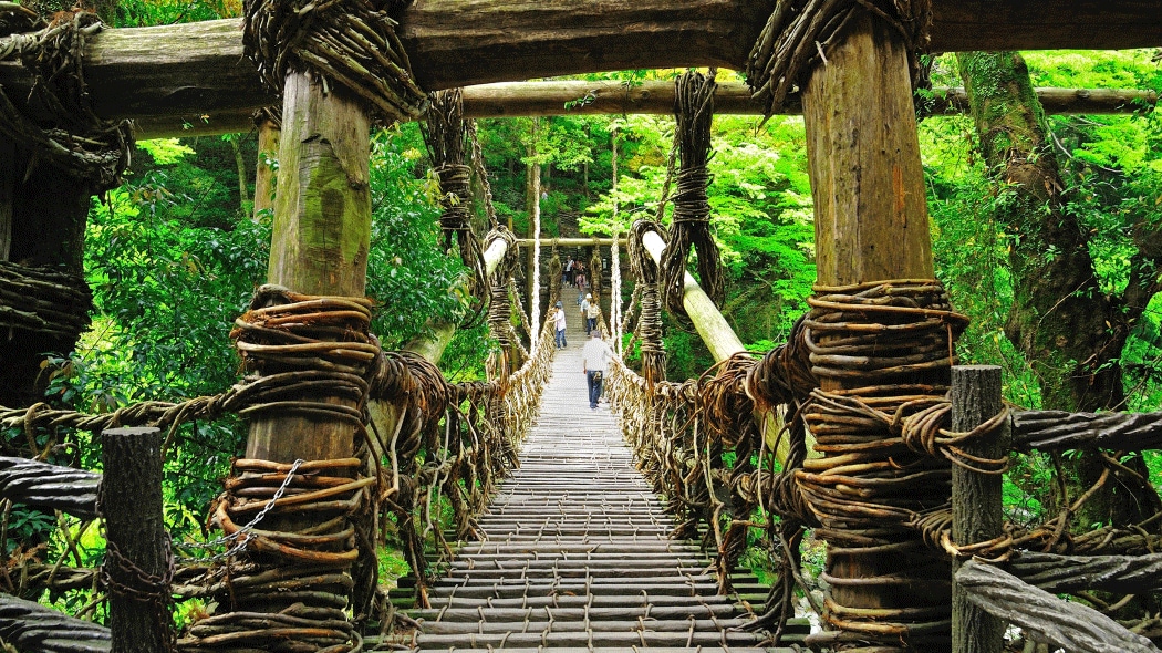 「祖谷（いや）のかずら橋」の魅力とは？入場料やベストシーズンも解説