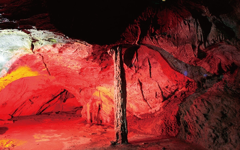 【群馬県上野村】7回撫でると願いごとが叶う？「天空回廊上野スカイブリッジと不二洞」