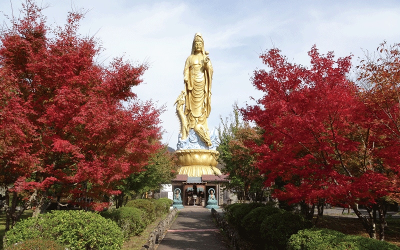 【大分県豊後大野市】願掛けスポット＆見どころが満載「稲積水中鍾乳洞」