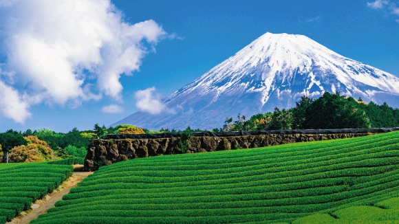 【2023静岡お土産特集】インスタ映えする、静岡の抹茶系お土産5選