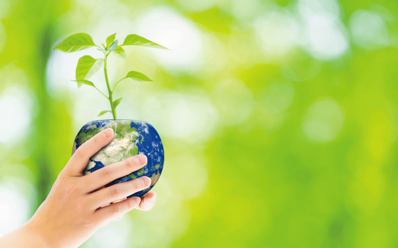 サステイナブルツーリズムの定義とは