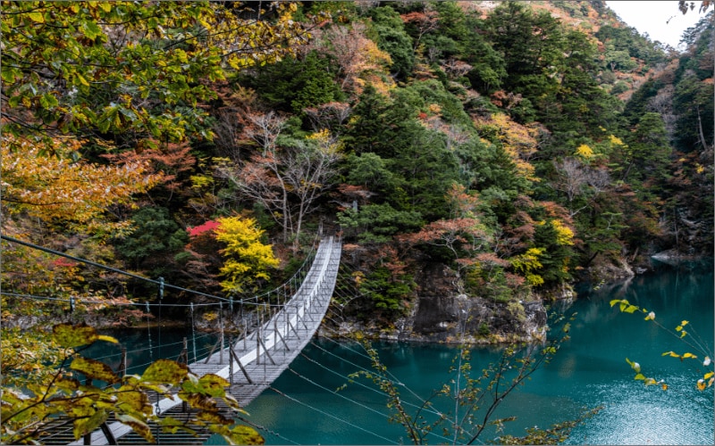 世界が認めた、死ぬまでに一度は渡りたい「夢のつり橋」