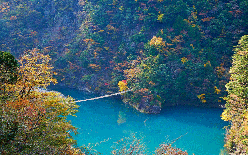 世界が認めた、死ぬまでに一度は渡りたい「夢のつり橋」