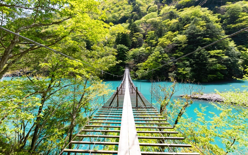 世界が認めた、死ぬまでに一度は渡りたい「夢のつり橋」