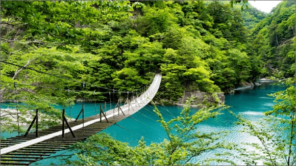 【静岡観光】夢の吊り橋とは？おすすめの季節や撮影スポットなどを紹介