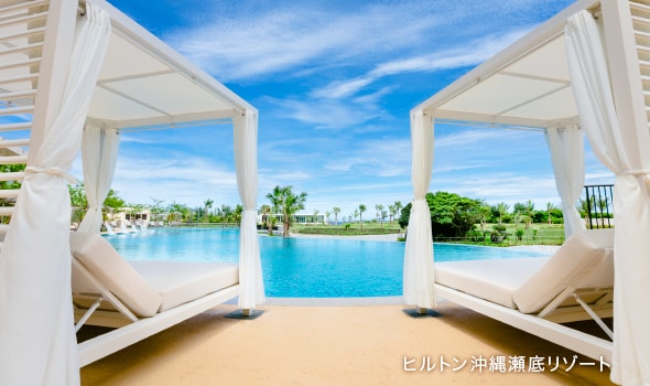 100％のエリートステータス・ボーナス